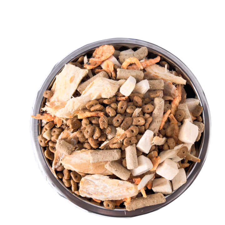 dog food . طعام الكلب