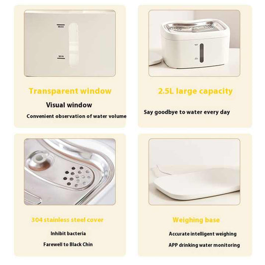 Bowls and feeders. Pet water dispensers, automatic water dispenser for smart dogs.