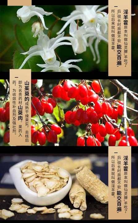Dogwood capsules for men