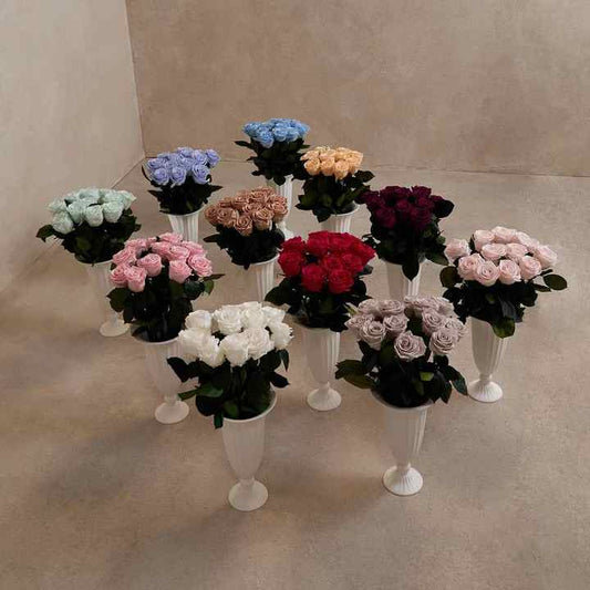 The most common types of house flowers.