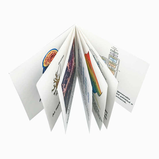 children's cartoon books