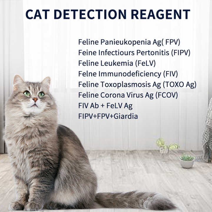 منفذ مصنع goodocine للاستخدام المنزلي مضاد السالمونيلا للكلاب والقطط Goodocine Factory Outlet Home Use Salmonella Repellent for Dogs and Cats