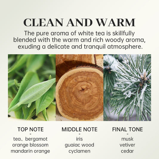 عطور نسائية