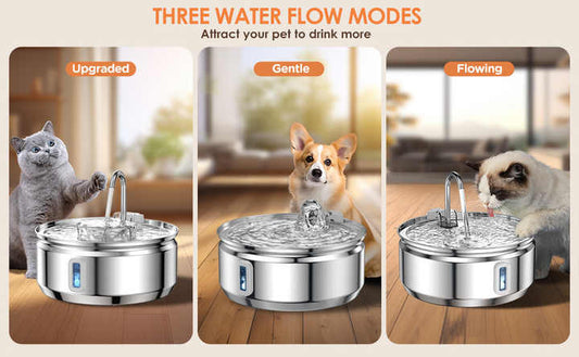 Best-selling quality stainless steel pet bowls and feeders.