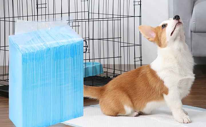 Essentials Italy & Malta Dog & Puppy Pee Pads with Leak