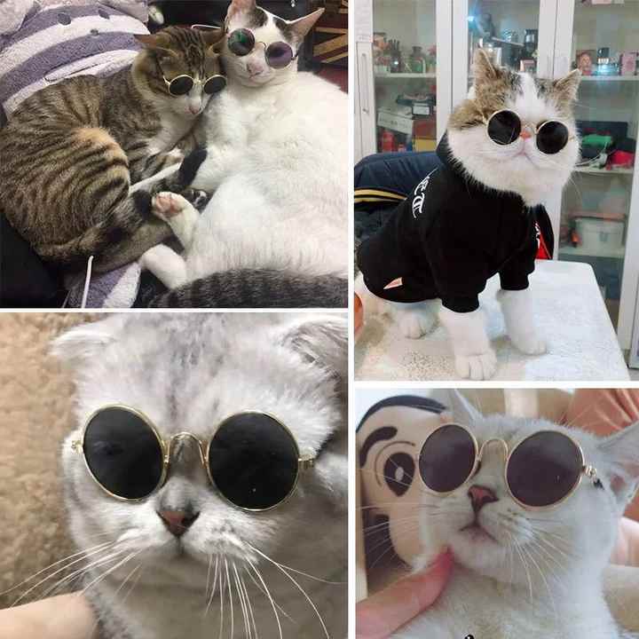 Metal cat sunglasses