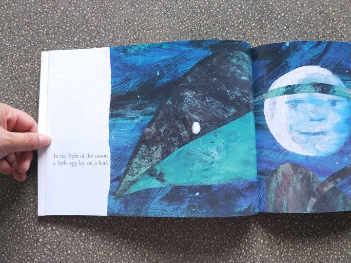 The Hungry Caterpillar Children's Book