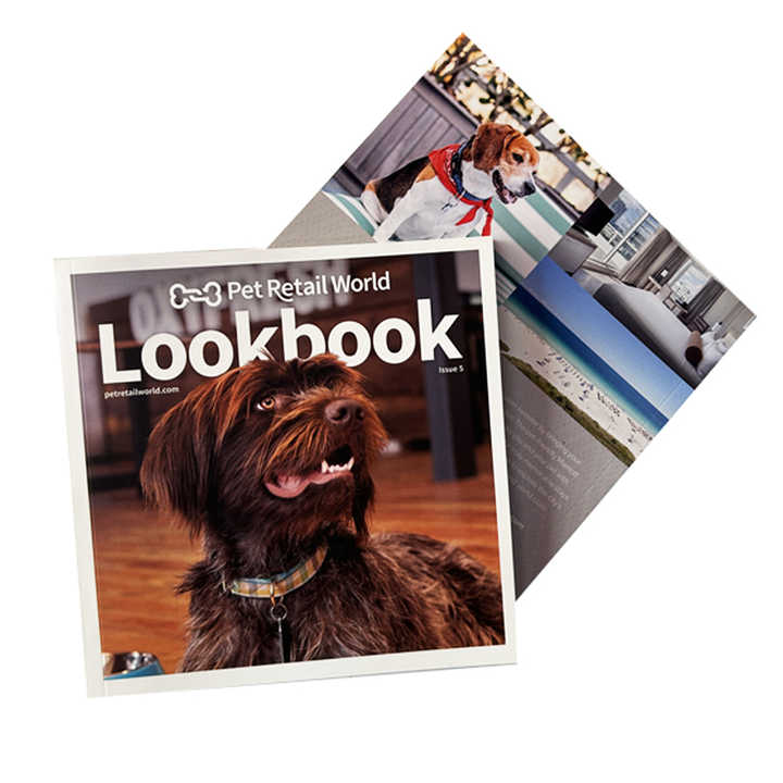 Fashion Educational Books / Fashion Catalogs