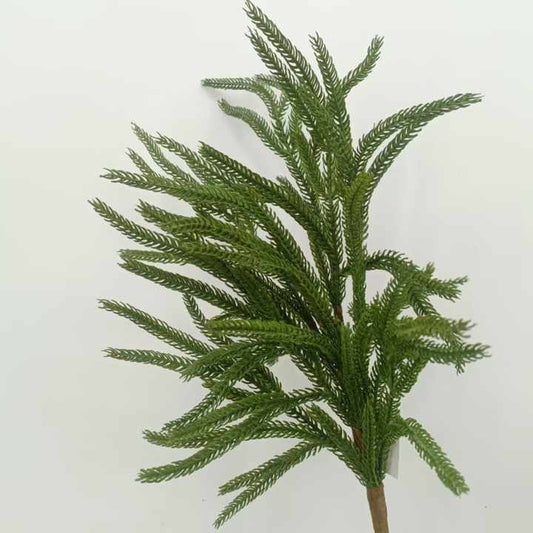 سيقان الصنوبر -زهور