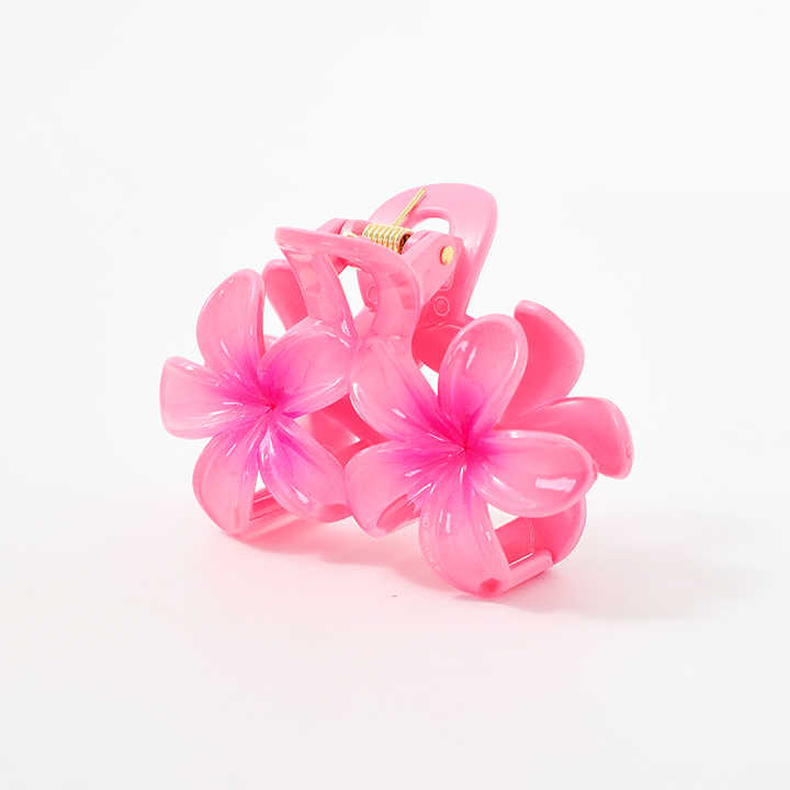 Large Colorful Hair Clips Hair