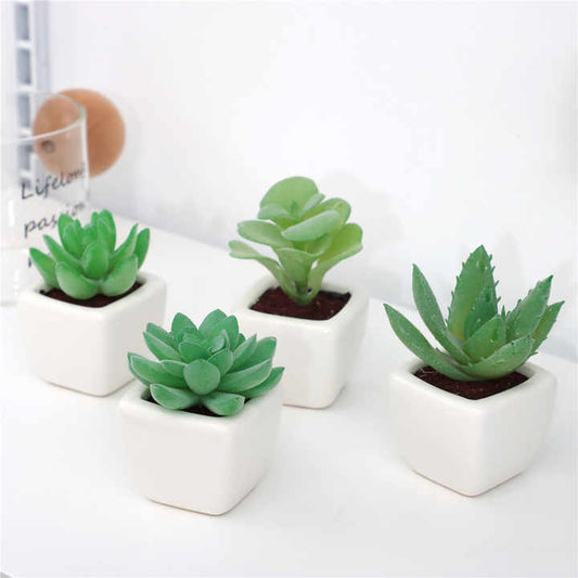 مجموعة من 4 نباتات عصارية صناعية صغيرة -Set of 4 small artificial succulent plants