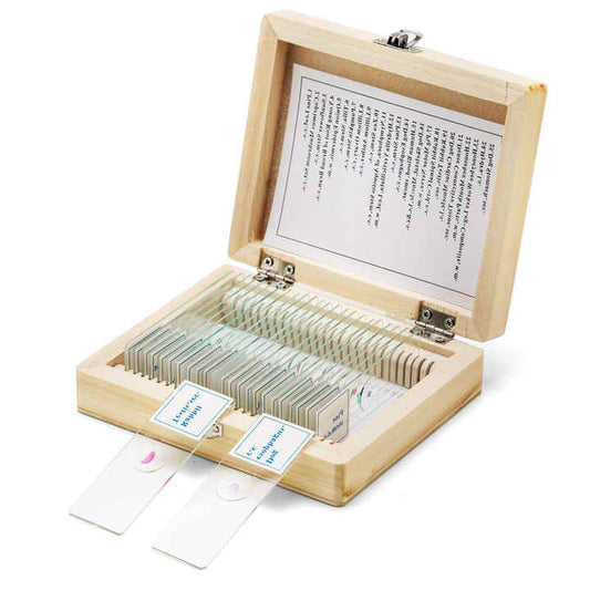 School and office supplies