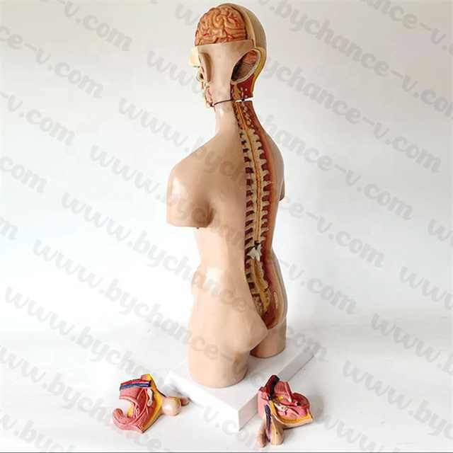 مستلزمات طبيه , Medical supplies