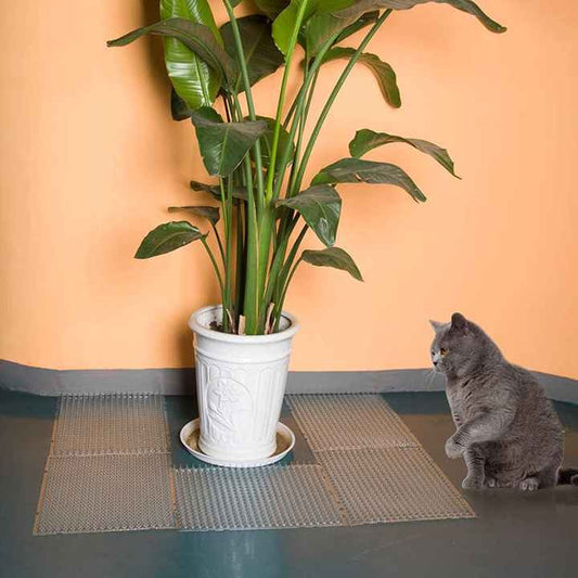 طاردة للقطط - اكسسوارات حيوانات