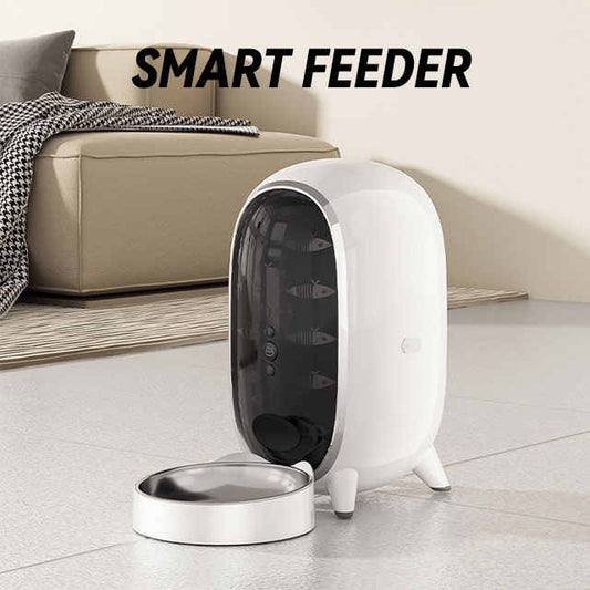 Vessels and Feeders - New Visual Edition