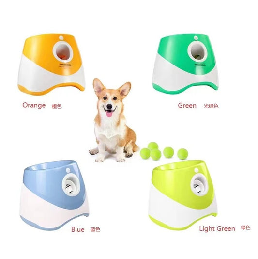 اكسسوارات حيوانات