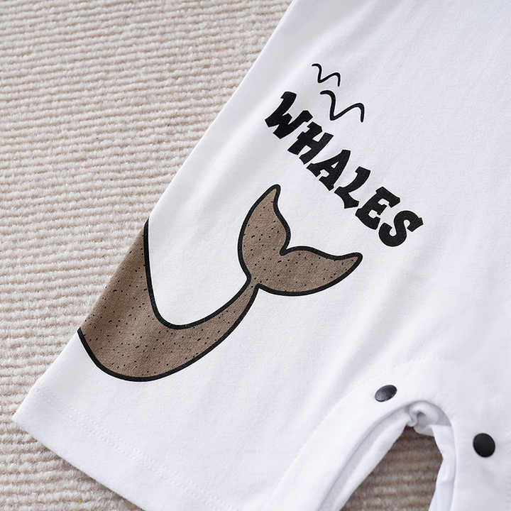 ملابس أولاد محبوكة من القطن بنسبة . Wholesale 100% Cotton Knitted Boys