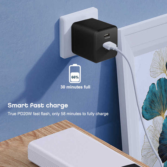 Original Dual Port Fast Charger.