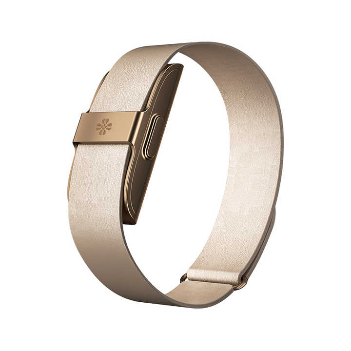 Smart Watch Band Model