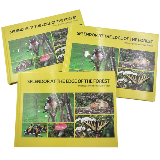 غلاف بحجم كبير روايات