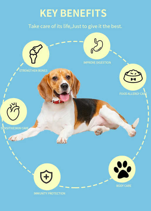 dog food . طعام الكلب