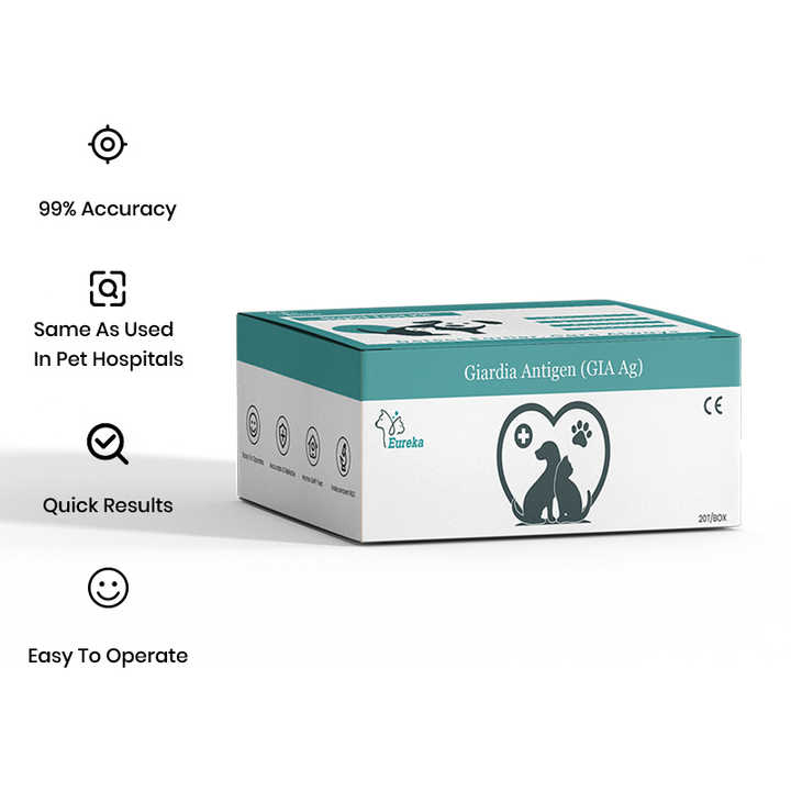 Pet Parvovirus Rapid Test Kit Medical Supplies
