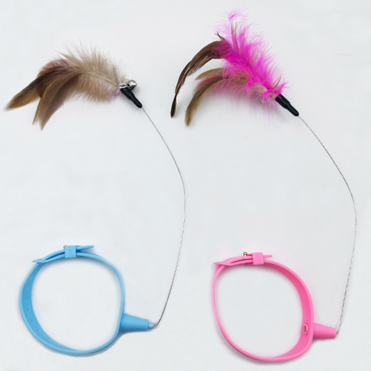 اكسسوارات حيوانات