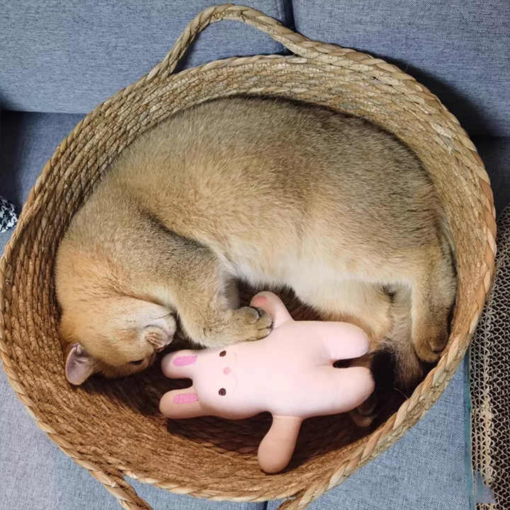 Basket Bed - Animal Accessories