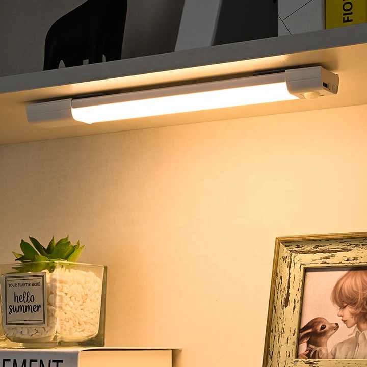 Portable lights
