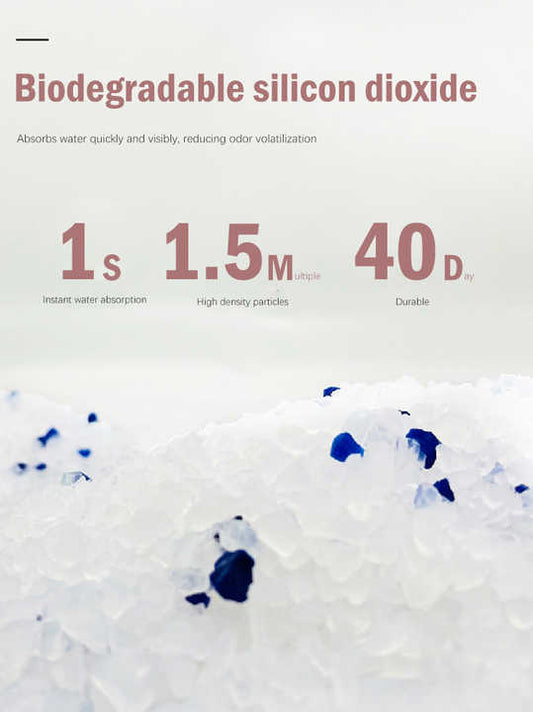 Sincere Large Discounts Cat