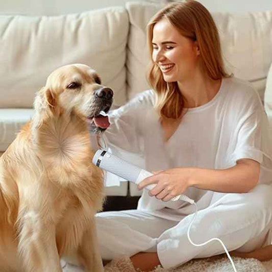 كلب قط قابل للتعديل بسرعة ودرجة حرارة . ادوات تنظيف