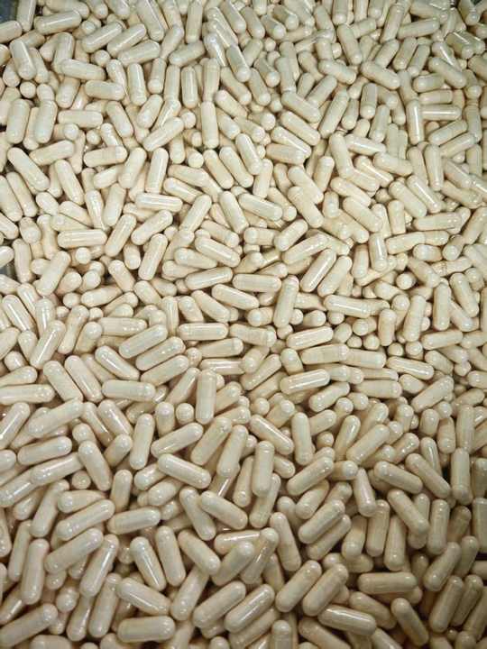 OEM ODM Natural Herbal Togkat Ali Capsule Maca Male Enhancement Pills for Men Energy