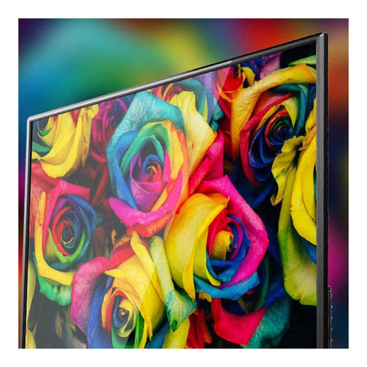 تلفزيون شبكي 95 - تلفزيونات