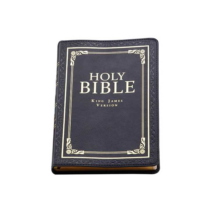 Holy Bible-الأرض المقدسة