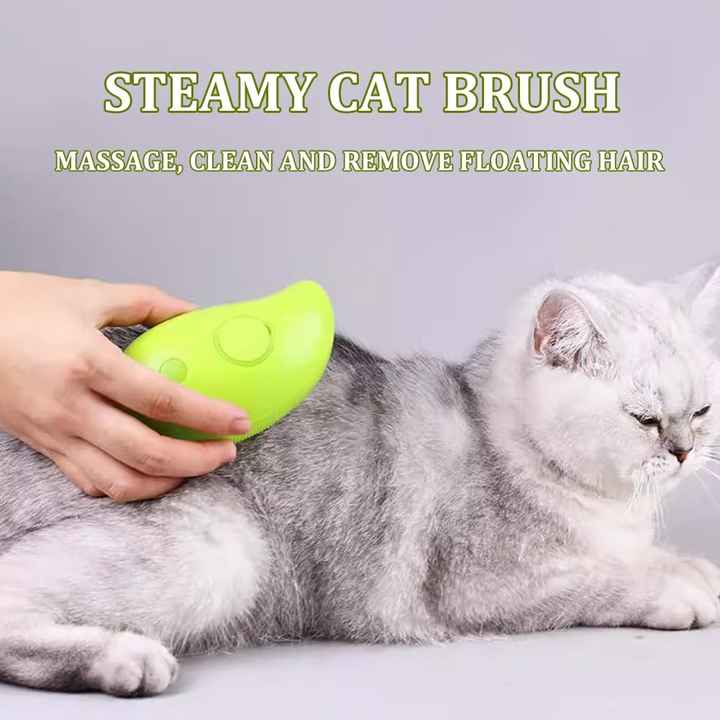 Spray Massage - Steam Comb