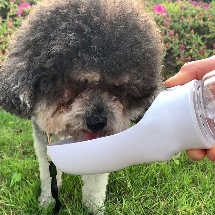 Bowls and Feeders - Portable Water Bottle for Dogs