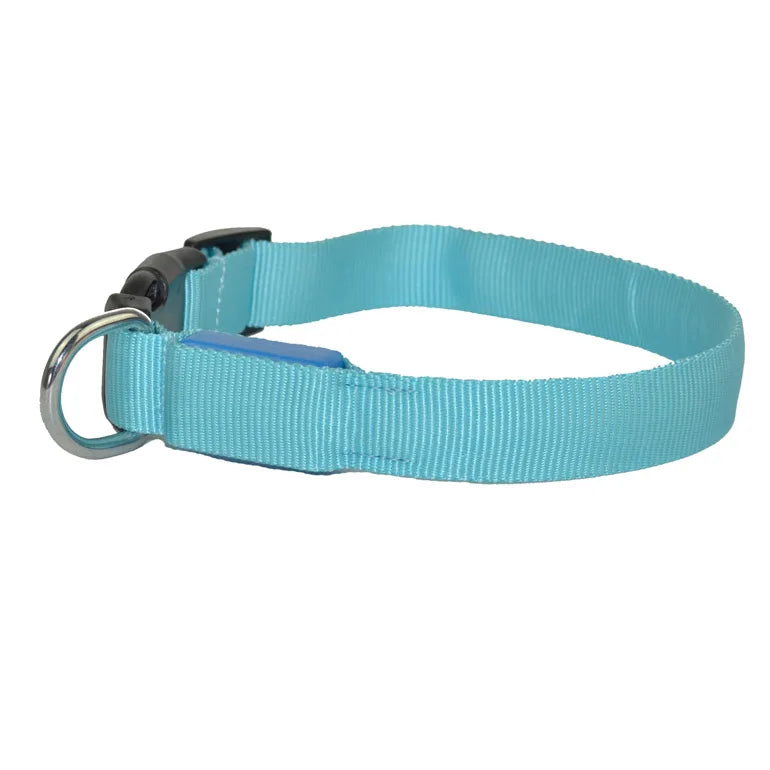 Dog Training Collar - Animal Accessories