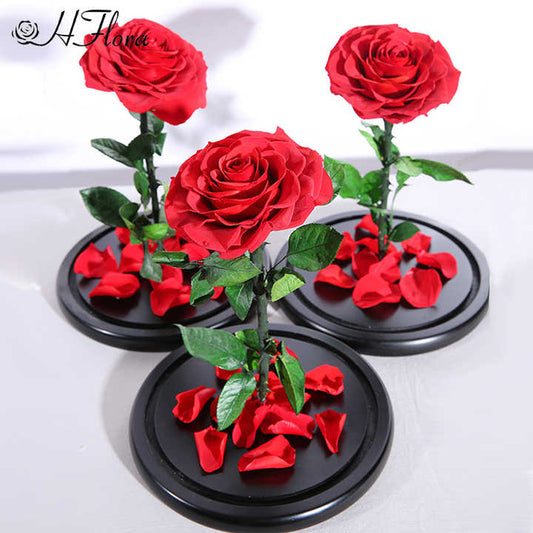 Preserved Roses in Glass Dome - Decorative Flower Gift Box