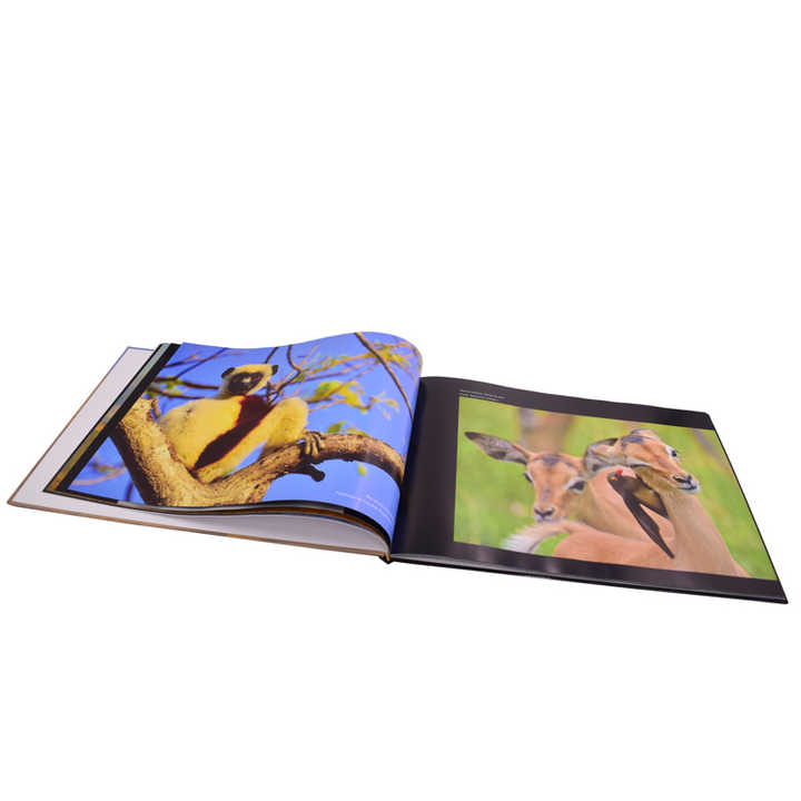 Cheap Hardcover Book Printing Offset-طباعة كتب غلاف