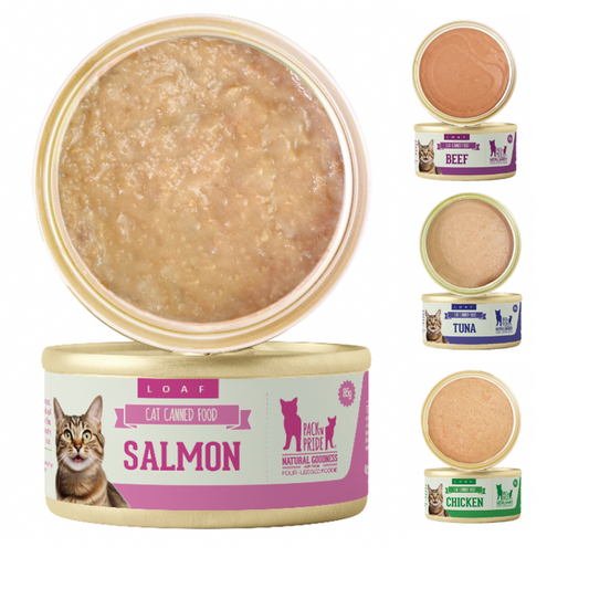 طعام القطط اوعيه ومغذيات