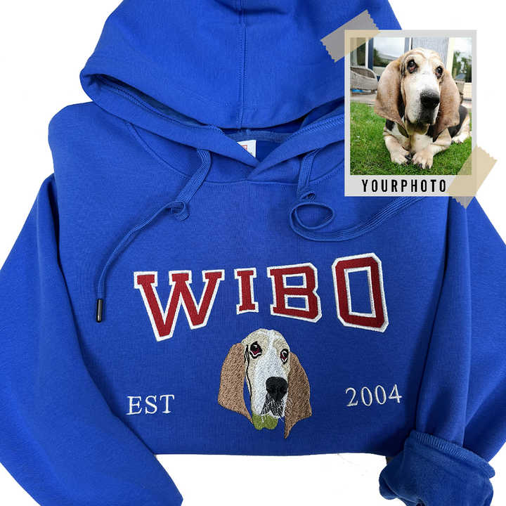 هودي، Hoodie