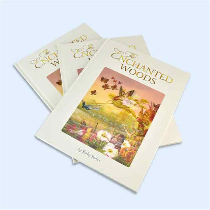 New Design High Quality Children's Hardcover Novels