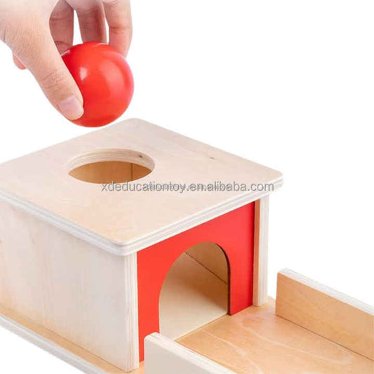 صندوق مونتيسوري لجسم دائم مع صينية خشب . Montessori Durable Body Box with Safe