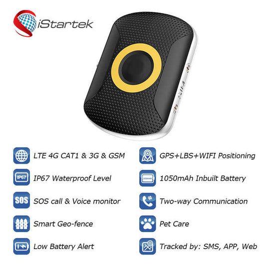 Animal Accessories - Pet Supplies