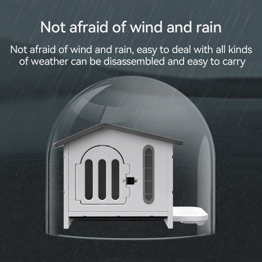 Animal Accessories - Latest Products