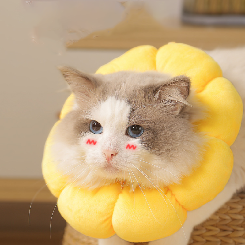 اكسسوارات حيوانات