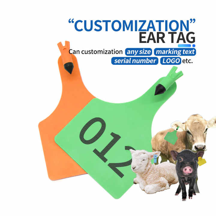 Custom Earring -قرط أذن مخصص