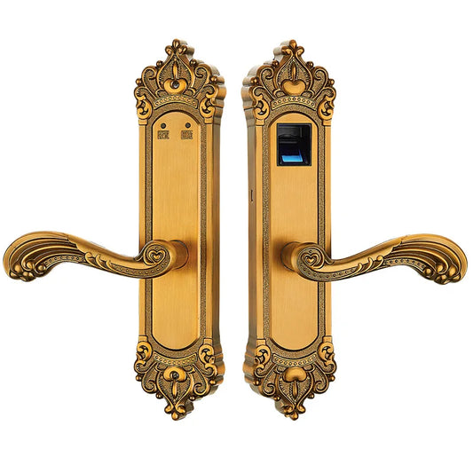 قفل باب ذكي-smart door lock