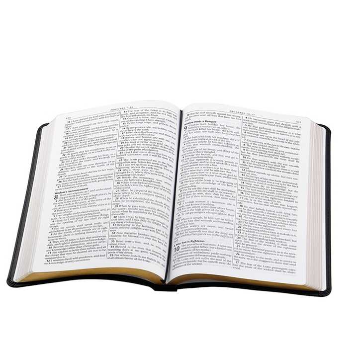 Holy Bible-Holy Land