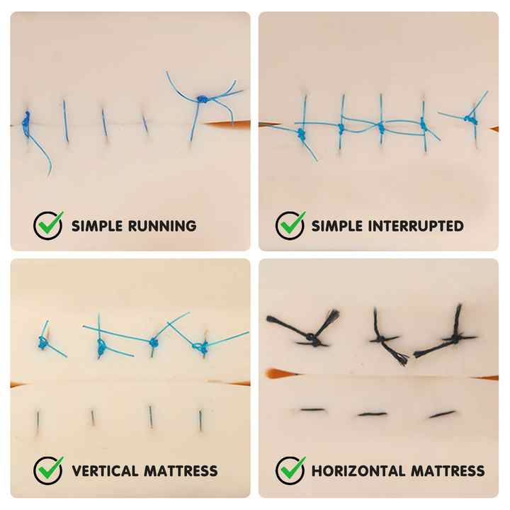 Manufacturer's Suture Kit for Medical Students.